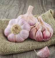 Knoblauch Rosa