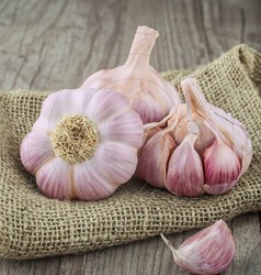 Knoblauch Rosa