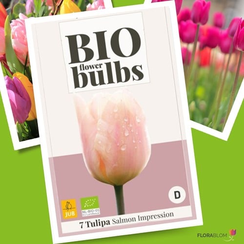 Tulpe Salmon Impression - Bio