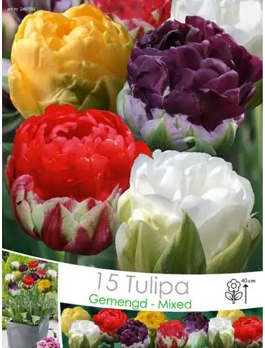 Tulpen Ice Cream Mischung