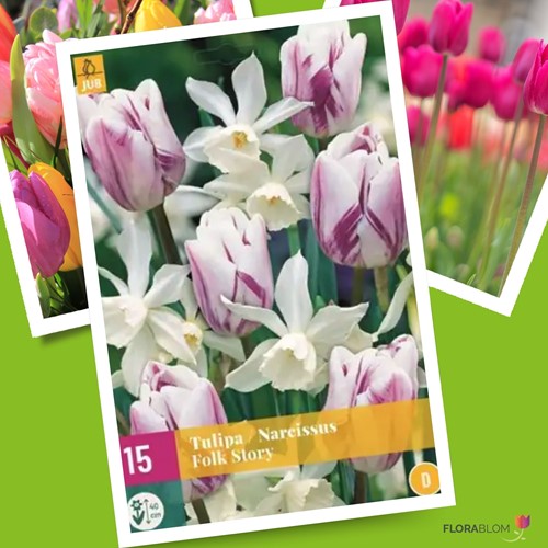 Tulpen & Narzissen Mischung Folk Story
