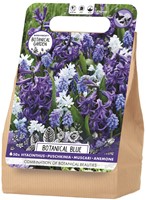 Botanical Blue Blumenzwiebelpaket - Botanical Garden