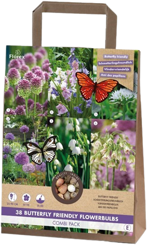 Paket Schmetterling Freundlich