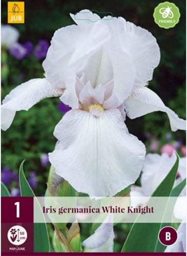 Iris Germanica White Knight - Deutsche Schwertlilie