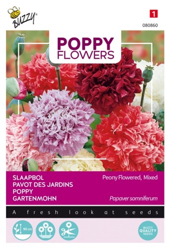 Gartenmohn Paeonienblütige, Mischung - Poppy Flowers