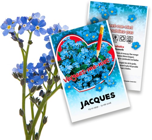 Vergissmeinnicht - Myosotis Personalisierte Werbegeschenke Samen Pakete 2.000 Stück