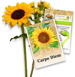 Zonnebloem zakjes persoonlijk bedrukt - 50 stuks